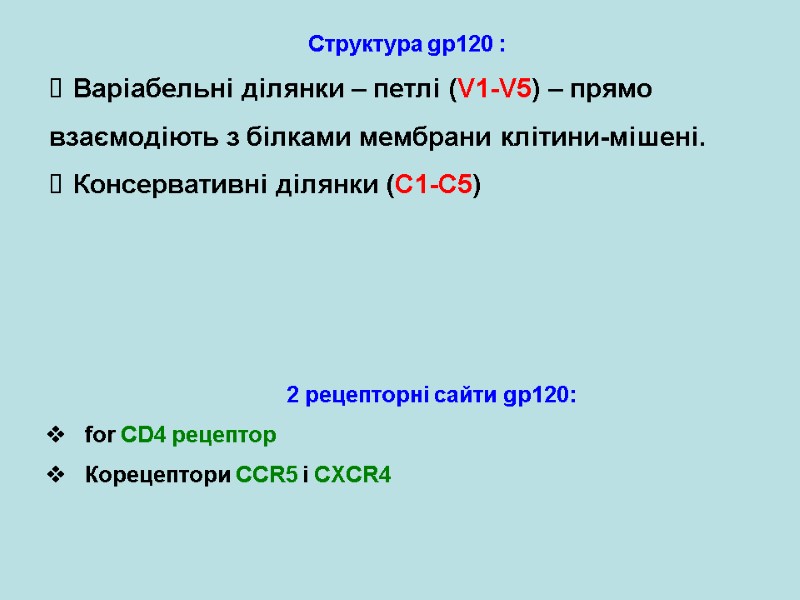 Структура gp120 :  Варіабельні ділянки – петлі (V1-V5) – прямо взаємодіють з білками